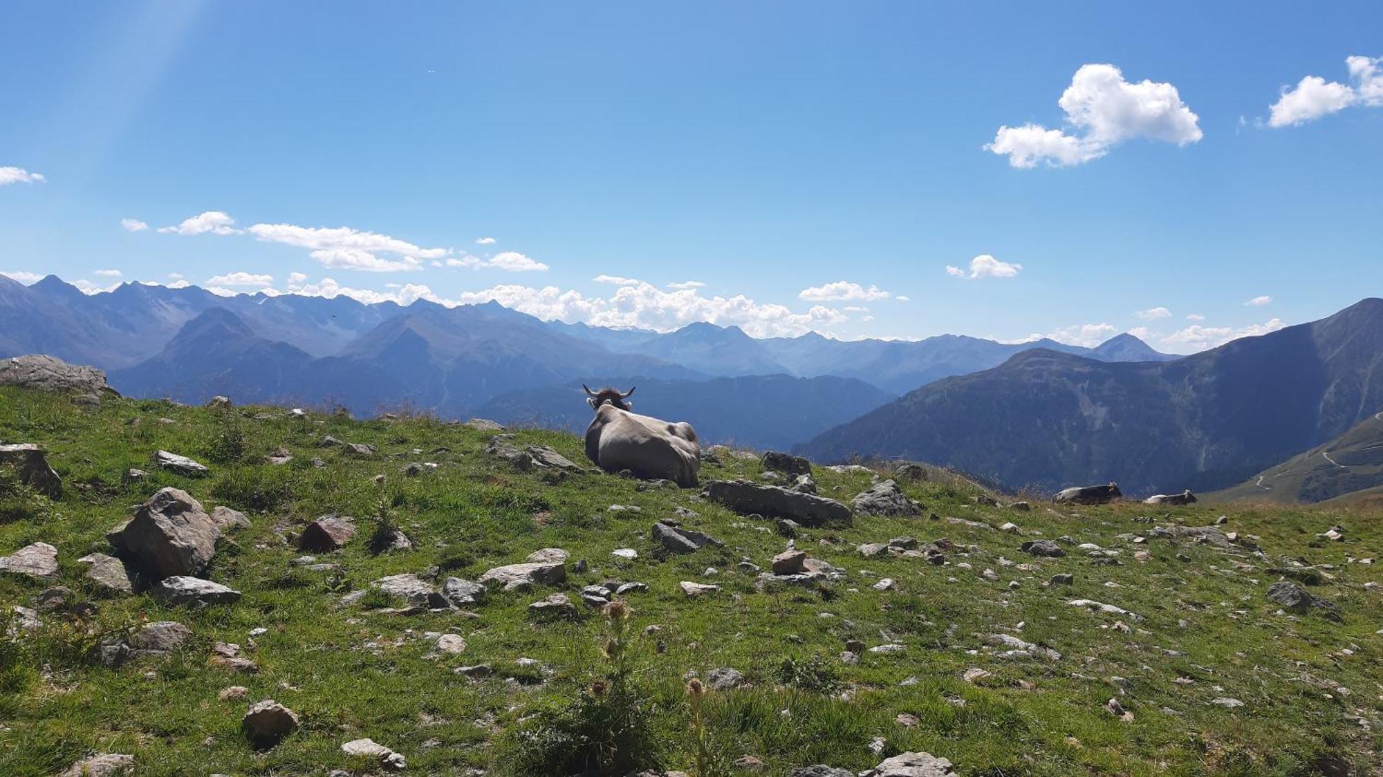 Laerchenhof Serfaus Exteriér fotografie